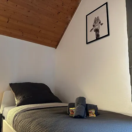 Apartment 3-zimmer Fuer Monteure & Geschaeftsreisende: Schnelles Internet *