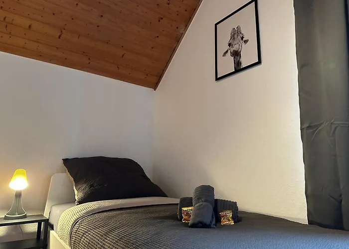 Apartamento 3-zimmer Fuer Monteure & Geschaeftsreisende: Schnelles Internet *